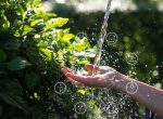 Proyecto de ingeniería solidaria recibe fondos para llevar agua y salud a comunidades rurales de Salta