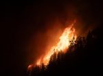 Incendios forestales: los factores que agravan su propagación y los desafíos para su prevención